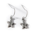 Starfish Earrings